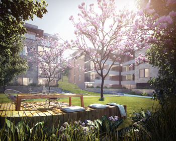 悉尼 Lane Cove 华府·玉兰园